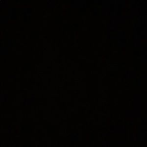 Meet your Posher, Tabitha